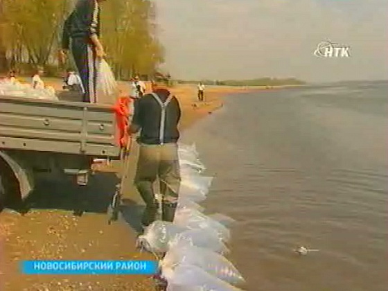 Миллионы мальков муксуна, нельмы и пеляди переселились в Обь