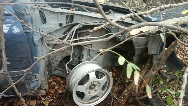 В Новосибирской области водитель погиб после сильного удара машины в дерево