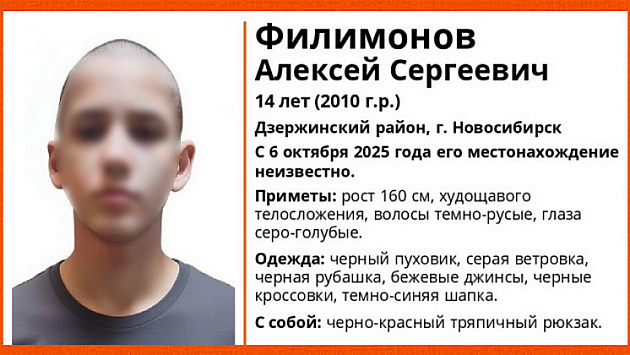 В Новосибирске завершили поиски 14-летнего школьника с чёрно-красным рюкзаком