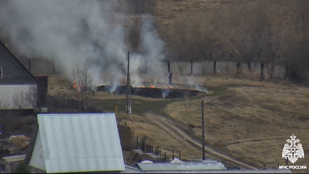 Житель Новосибирской области попался на поджоге сухой травы