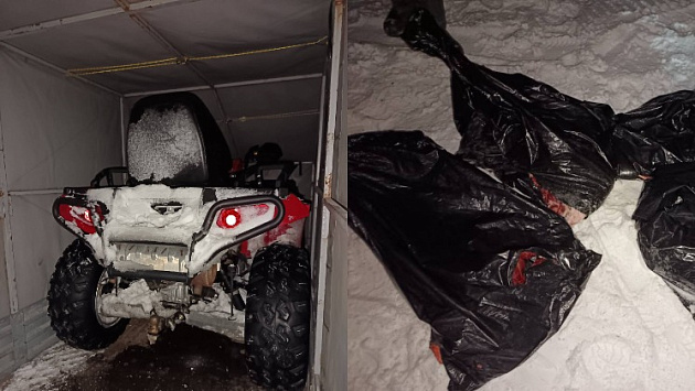 Браконьера задержали за незаконное убийство косули в Новосибирской области