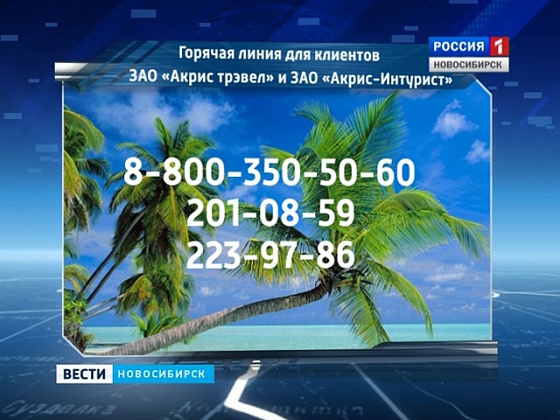 В Новосибирске открыли горячую линию для пострадавших от деятельности «Акриса»