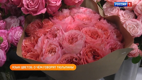 ВЕСТИ Новосибирск