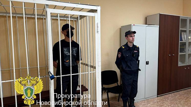 29-летнего новосибирца арестовали за оскорбление полицейских и угрозы