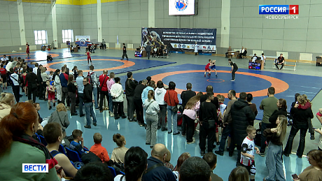 ВЕСТИ Новосибирск