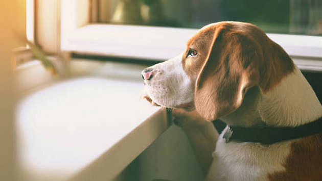 В Новосибирской области потеплеет до +9 °С в последние выходные октября