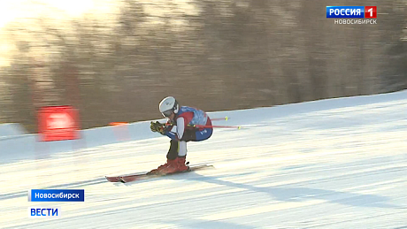 ВЕСТИ Новосибирск