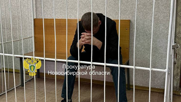 Новосибирца арестовали за обман пенсионера на 440 тысяч рублей