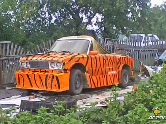 Новосибирец переплыл реку на «леопардовой» «шестерке-амфибии»