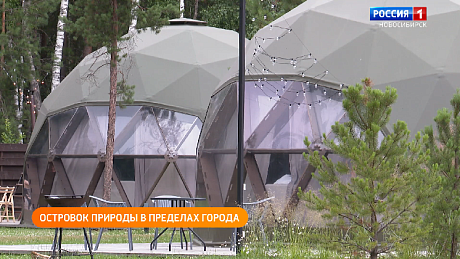 ВЕСТИ Новосибирск