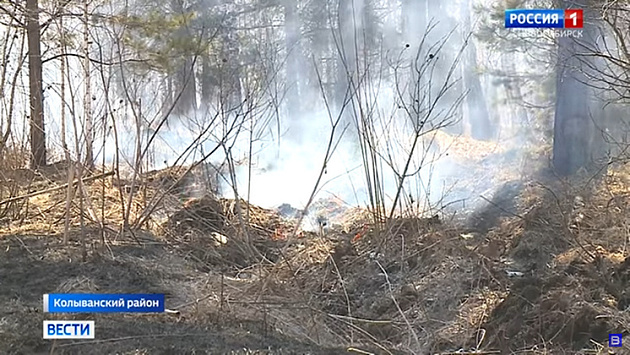 В Новосибирской области пожароопасный сезон начнётся с 15 апреля