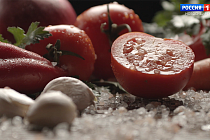 «Полезная передача»: интересные факты о соли