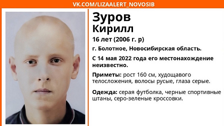 В Новосибирской области без вести пропал 16-летний подросток