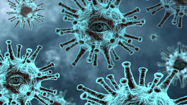 Ещё 15 новосибирцев скончались от коронавирусной инфекции 