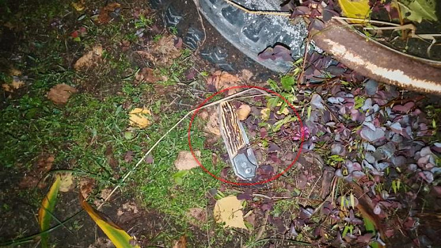 Новосибирец кинулся на собутыльника с ножом во время застолья