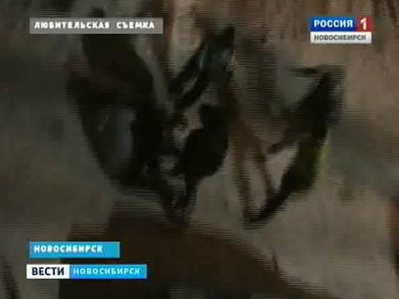 На улице Кропоткина произошло массовое избиение