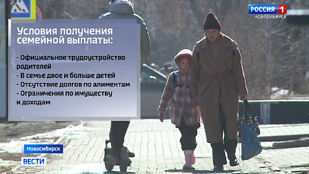 Новосибирские семьи с детьми могут получить новую социальную выплату