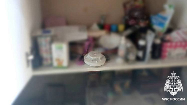 В Новосибирской области восьмилетняя девочка спасла маленьких братьев из пожара