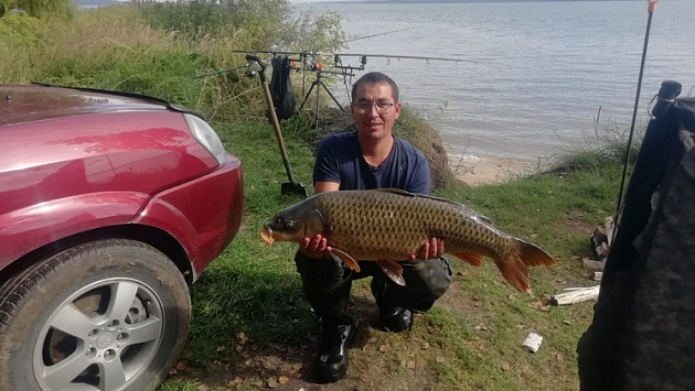 В Новосибирской области рыбак выловил сазана-гиганта весом более 13 килограммов
