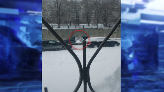 В Новосибирске неизвестный открыл стрельбу по балкону жителей Нижней Ельцовки