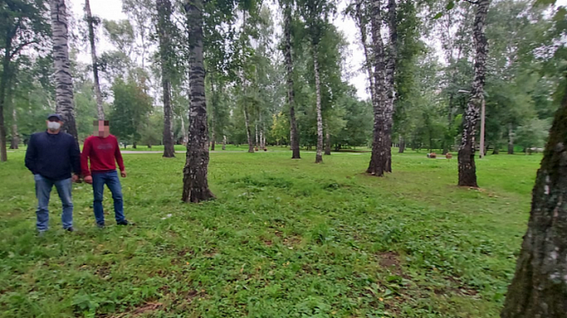 В Новосибирске 34-летний мужчина избил и изнасиловал девушку в парке