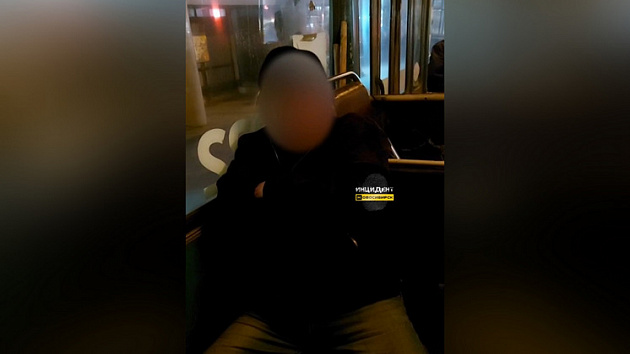 В Новосибирске задержали пристававшего к 7-летней девочке мужчину