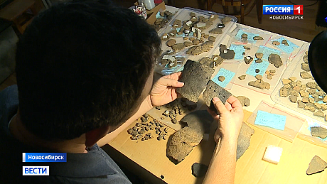 ВЕСТИ Новосибирск