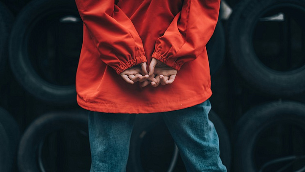 В Новосибирске осудили женщину за получение пособий на липовых детей