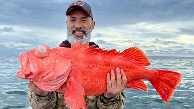 Общество - Рыбак из Новосибирска поймал огромного морского окуня в Тихомокеане - Вести Новосибирск