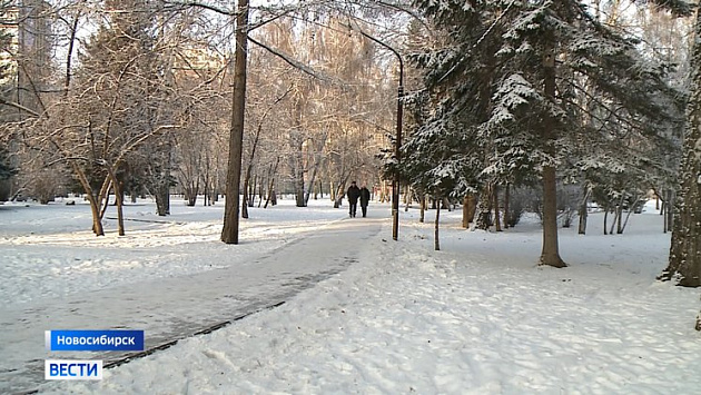 Новая волна мороза накроет Новосибирскую область с 10 декабря