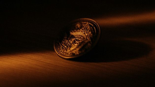 В Новосибирске выставили на продажу рублёвую монету 1727 года за 120 тысяч