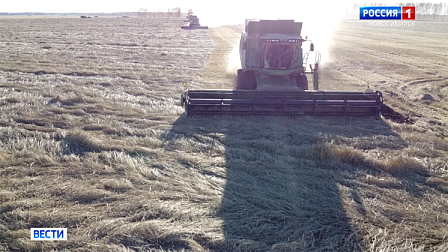 Уборочная кампания в хозяйствах Новосибирской области вышла на финишную прямую