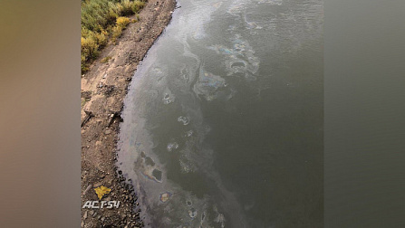 Радужные пятна заметили на реке Обь в Новосибирске