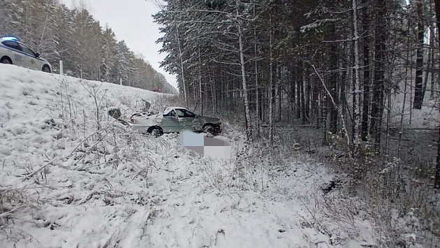 41-летний водитель погиб после удара машины об дерево в кювете под Новосибирском 