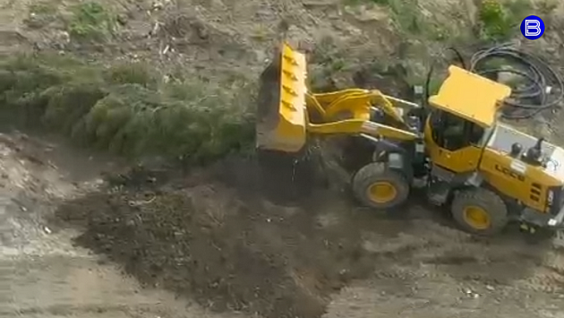 Мэр Кудрявцев поручил разобраться со сносом елей после поста «Вести Новосибирск»