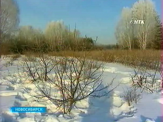 Прошедшая зима стала одной из самых малоснежных за последние годы