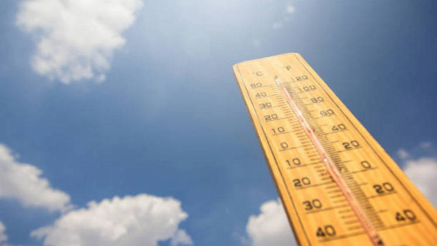 Погода в Новосибирской области сохранила риски природных пожаров до 30 июня