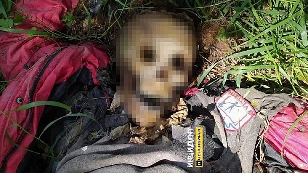 Молодой новосибирец 28 ударами в грудь забил до смерти женщину и выбросил ее тело в лесу