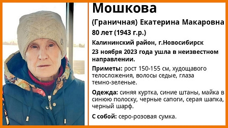 В Новосибирске без вести пропала 80-летняя бабушка с серо-розовой сумкой