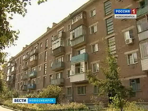 Жителей одного из домов Новосибирска атаковали блохи