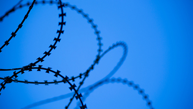 Более 50 килограммов синтетических наркотиков произвёл латыш под Новосибирском