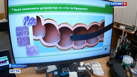 ВЕСТИ Новосибирск