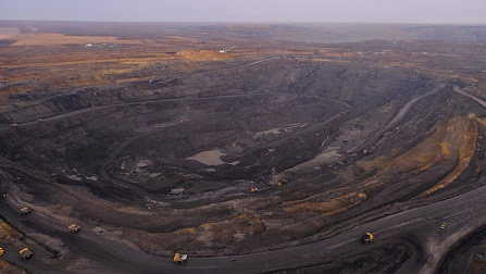 В Новосибирской области реализуют крупный экологический проект