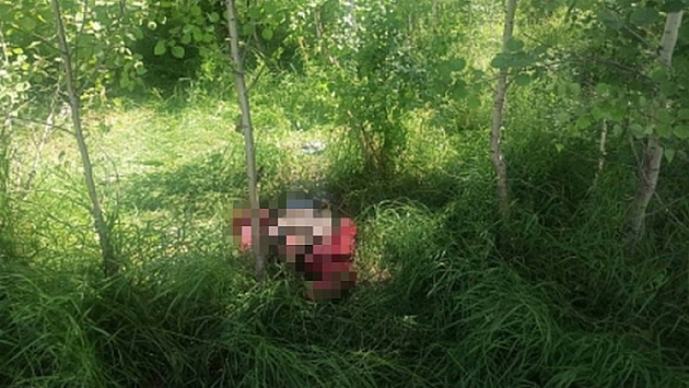 Иностранца осудят за жестокое убийство 44-летней хозяйки автомобиля в лесу под Новосибирском