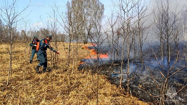 В Новосибирской области спасатели продолжают борьбу с ландшафтными пожарами