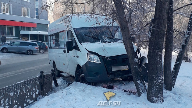 Маршрутка № 18 снесла ограждение и врезалась в дерево в Октябрьском районе Новосибирска
