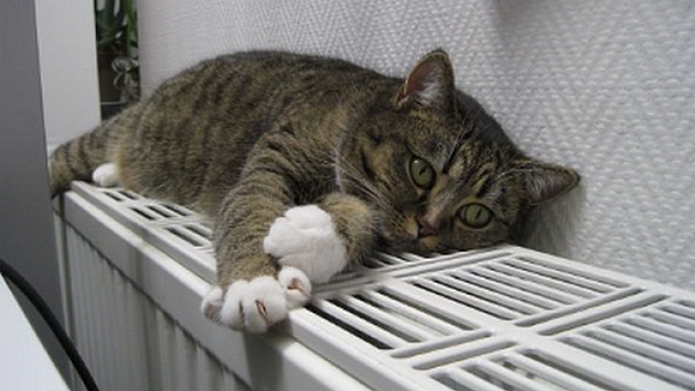 В 67 зданиях Новосибирска остыли батареи из-за ремонта на теплотрассе