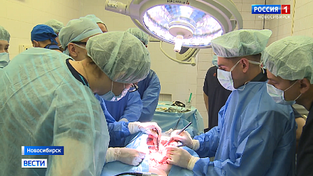 В Новосибирске провели эксперимент для создания нового вида кардиостимулятора