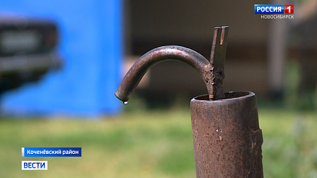 ВЕСТИ Новосибирск