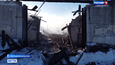 «Вести Новосибирск» рассказали подробности пожара на ферме в Новосибирской области